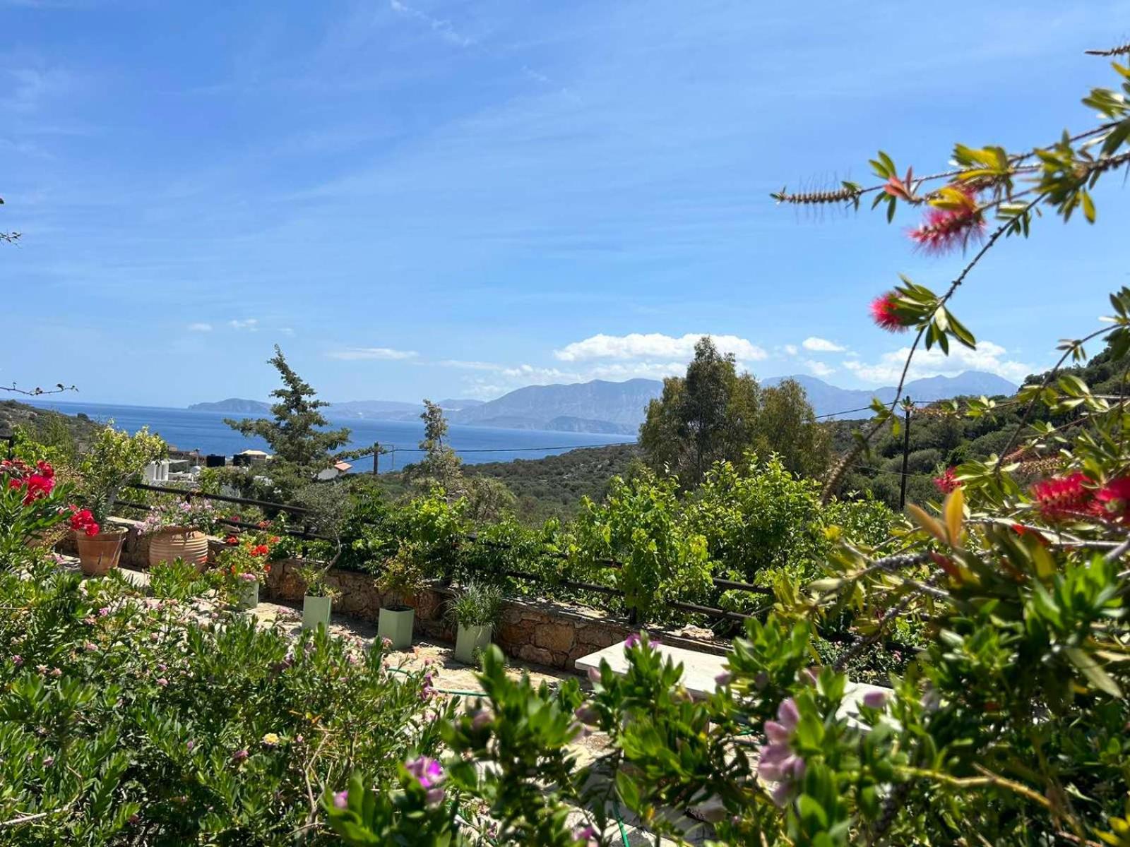Fissi Villas sea view detached holiday homes Ágios Nikolaos Exterior foto
